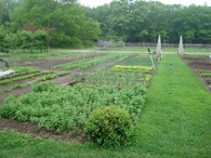 Blackrock Farm